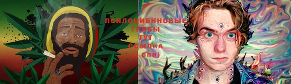 ПСИЛОЦИБИНОВЫЕ ГРИБЫ Балахна