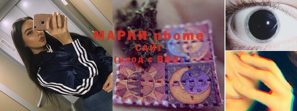 ПСИЛОЦИБИНОВЫЕ ГРИБЫ Балахна
