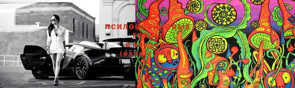ПСИЛОЦИБИНОВЫЕ ГРИБЫ Балахна