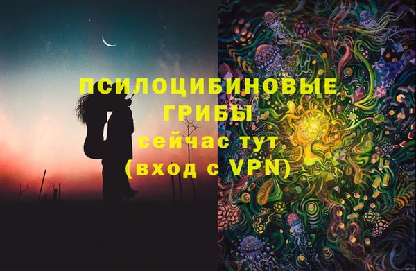 Альфа ПВП Армянск
