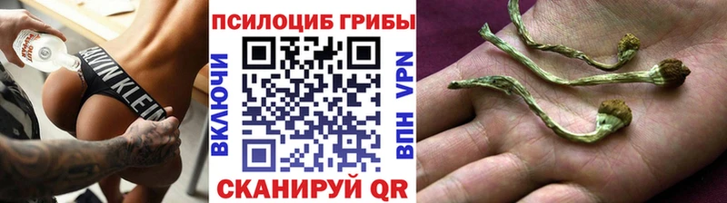 цены наркотик  Старая Русса  Псилоцибиновые грибы MAGIC MUSHROOMS 